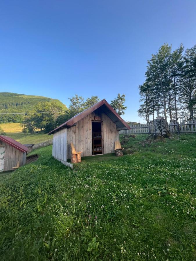 Villa Katun Lanista-Kolibe Bogavac Mojkovac Exterior foto